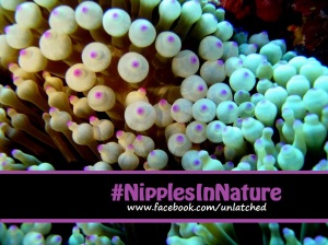 #NipplesInNature